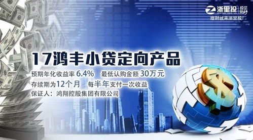 17鸿丰小贷定向产品明日上线 一年期6.4%收益率探析
